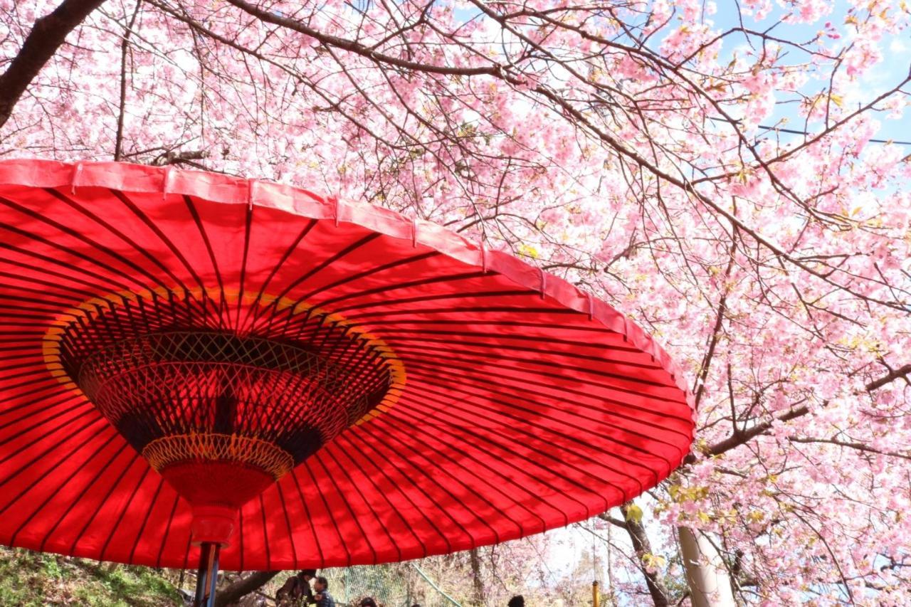 Stay Sakura Kyoto Gion Miyagawacho Exterior photo